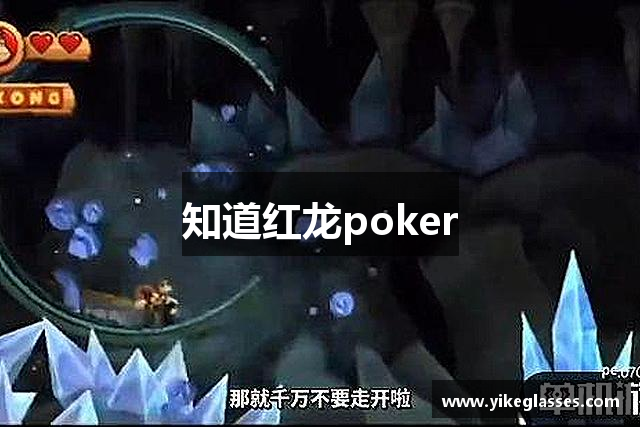 知道红龙poker